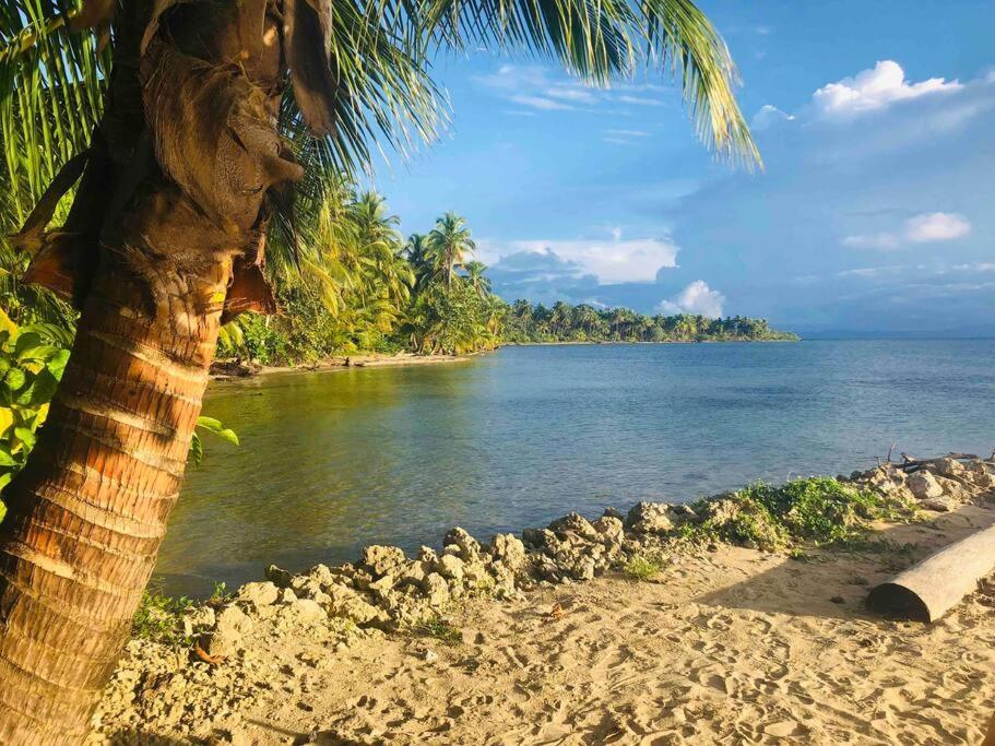 Caribbean Villages Aparments Bocas del Toro Exteriér fotografie